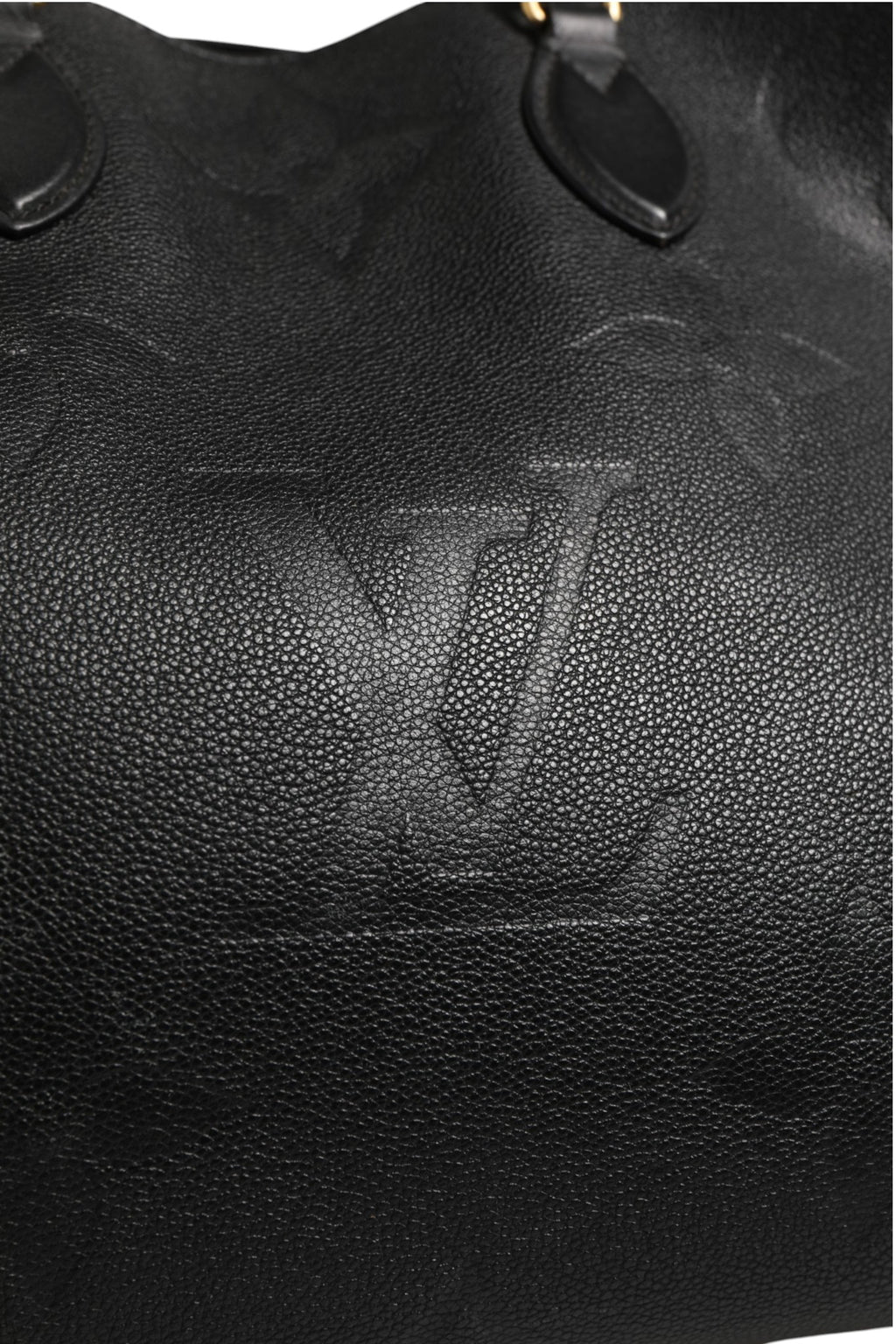OnTheGo GM Monogram Empreinte Leather