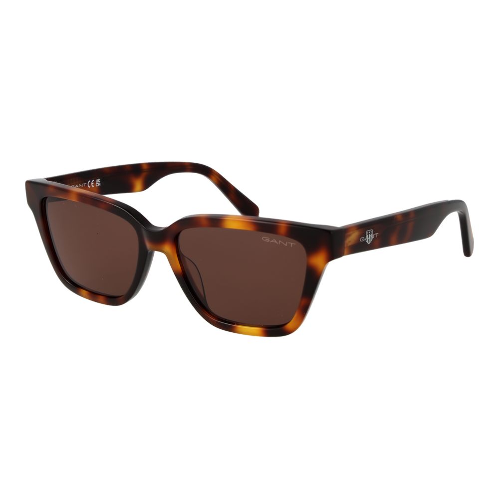 Brown Acetate Sunglasses