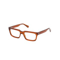 Brown Injected Glasses (Frames)